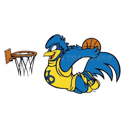 Delaware Blue Hens Logo T-shirts Iron On Transfers N4239